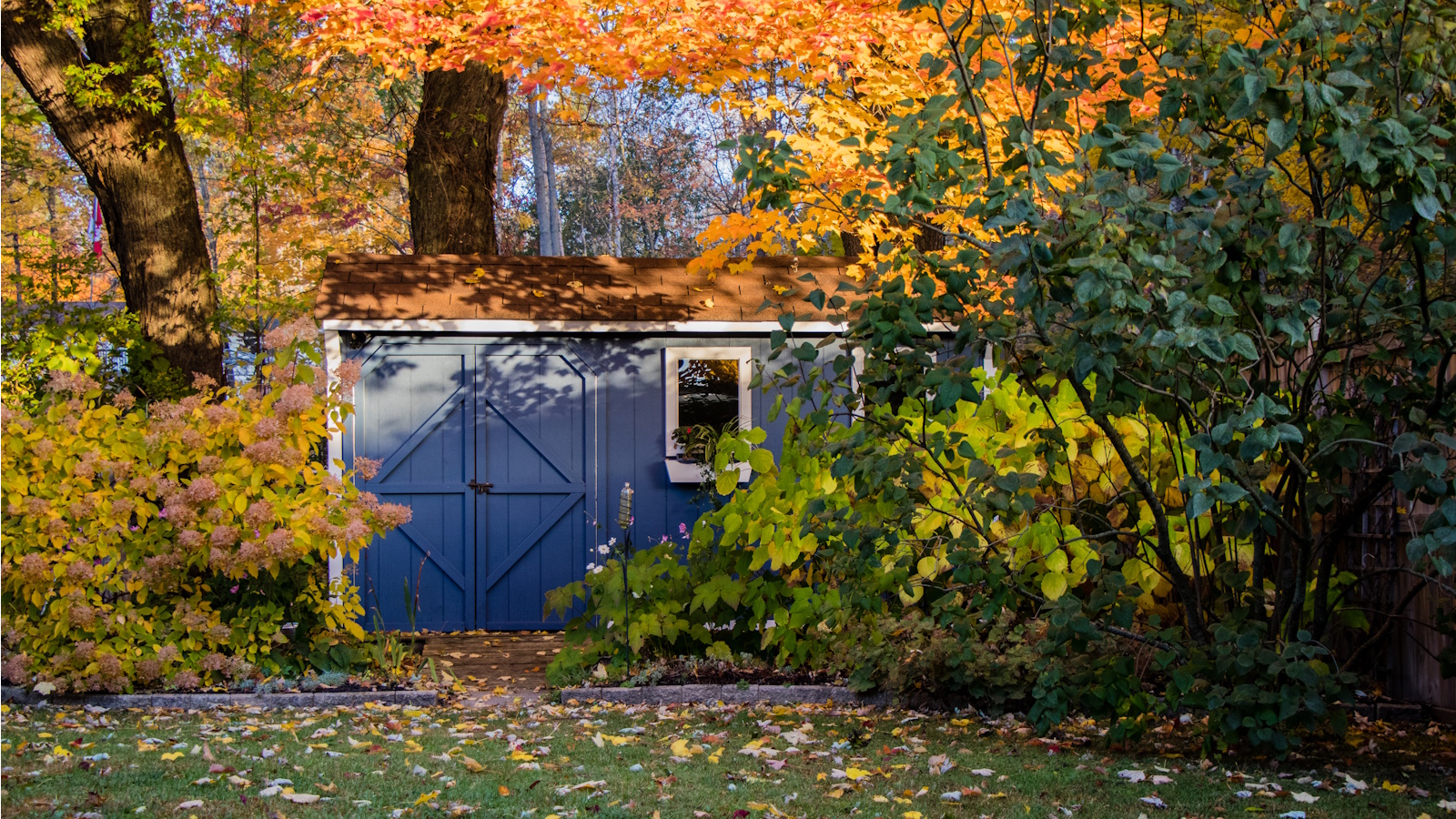 Garden shed in fall