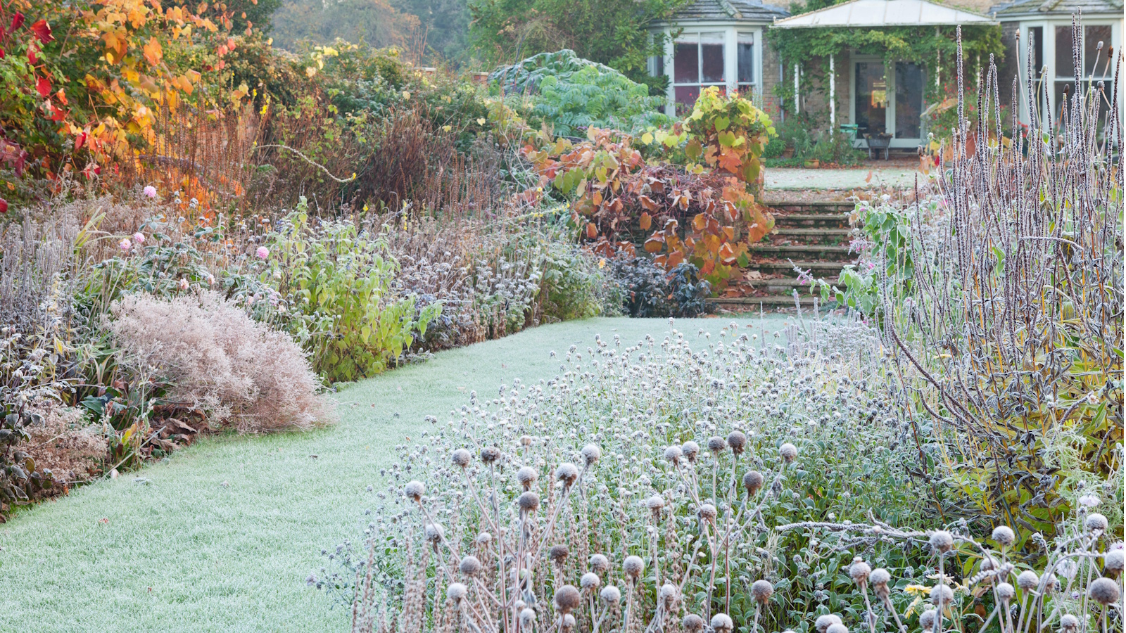 Winter garden