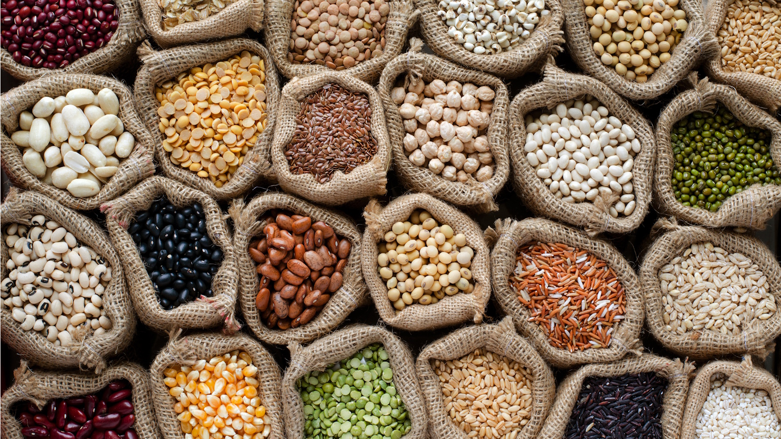 Vegetable seeds
